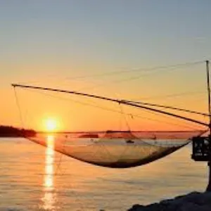 https://ada-home.hotelinveneto.com